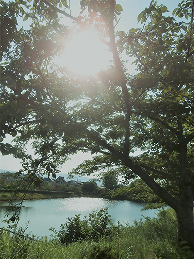 写真：梅雨明け、夏本番！