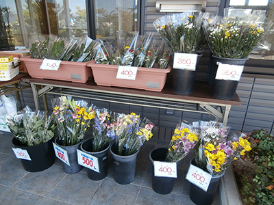 “お花”開店初日！